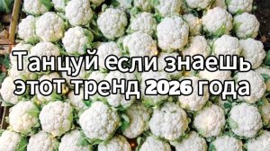 Танцуй если знаешь этот тренд 2026 года