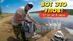 17 КГ рыбы за 4 часа рыбалки😎👏✔Ловля леща на маховую удочку на реке в проводку  Поплавочная снасть