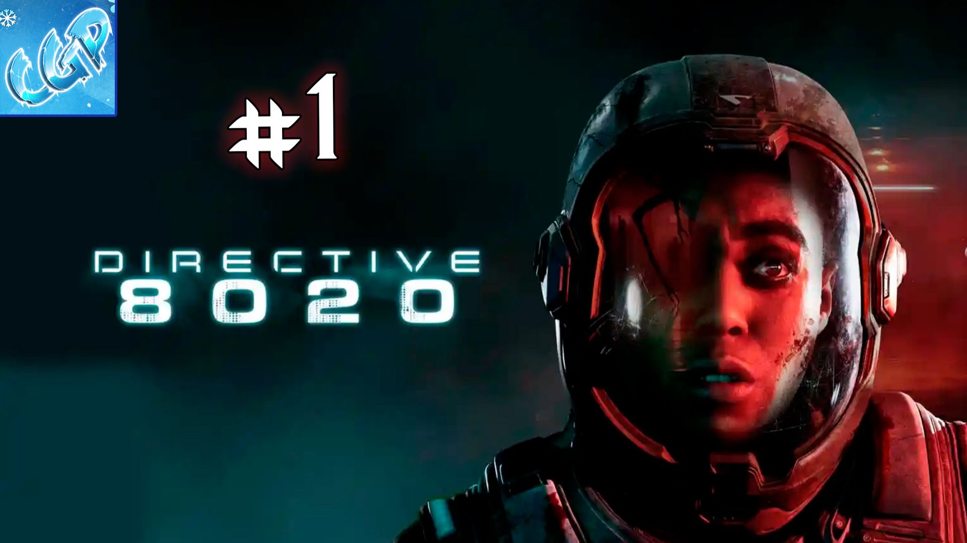 Directive 8020