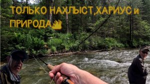 Первые хариуски сезона и таёжные красоты!#нахлыст #хариус #тайга
