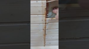 Бытовки-Быстро .Реальные отзывы .