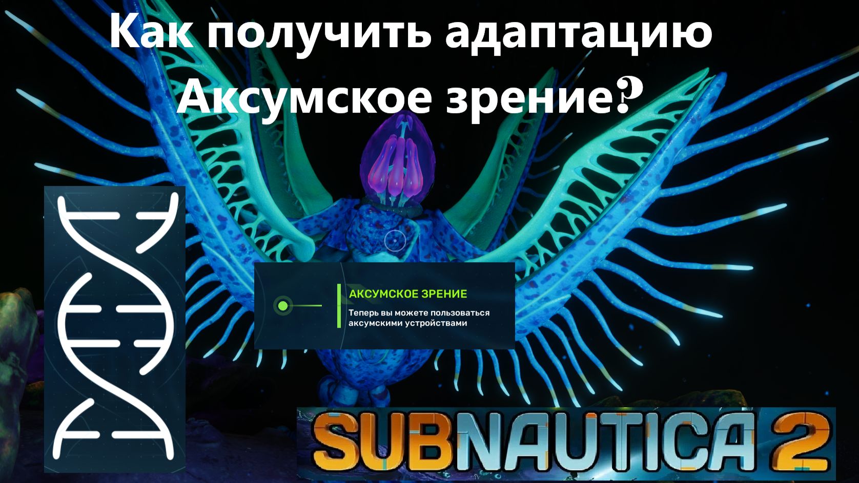 Как получить адаптацию Аксумское зрение