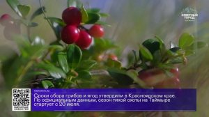 ДАЙДЖЕСТ «СЕВЕРНОГО ГОРОДА», 29.06.2026