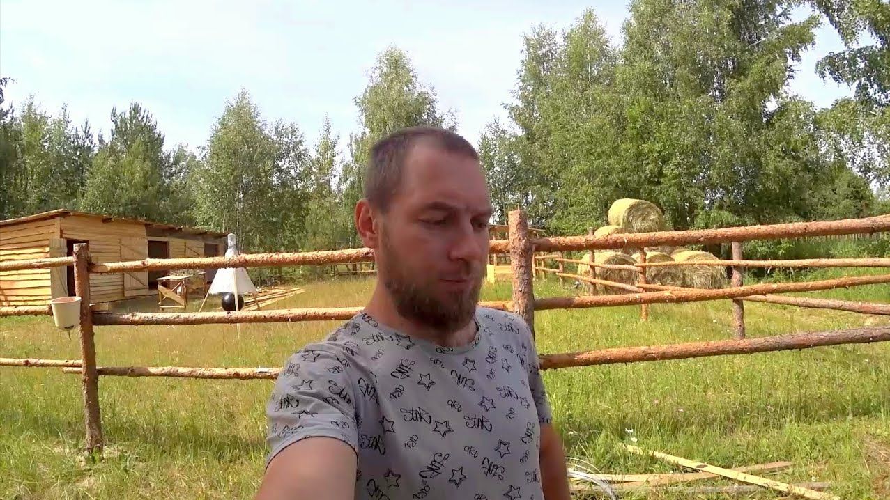 ВСЯ ПРАВДА ПРО ПЕРЕЕЗД И ПРОДАЖУ ДОМА В ДЕРЕВНЕ. ЧТО ПРОИСХОДИТ? ЖИЗНЬ В ЛЕСУ 14.07.23 смотреть онлайн