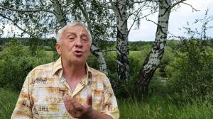 В. Гафт «Бабочка»