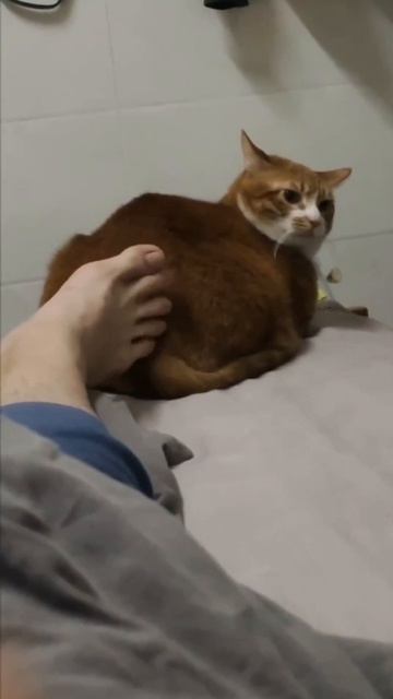 Наше терпение не безгранично