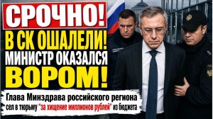 Глава Минздрава российского региона сел в тюрьму за хищение миллионов рублей из бюджета