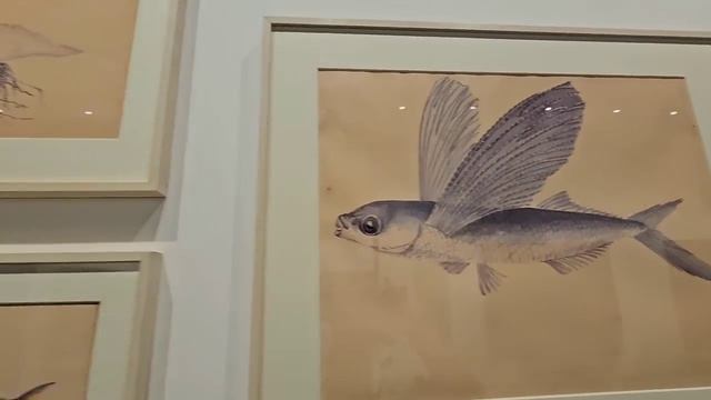 Путешествие в прошлое Южной Индии. Шопинг, накупили чудесных вещей! DakshinaChitra Museum. смотреть онлайн