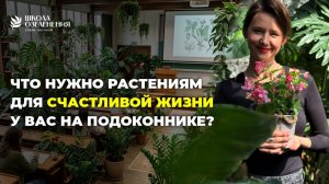 База по уходу за комнатными растениями