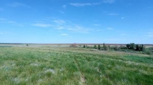 Исчезнувший посёлок Кочетки, Пугачевский район.