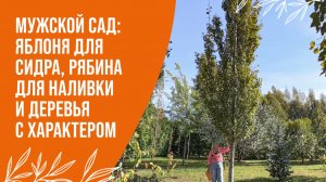 МУЖСКОЙ САД: КАКИЕ РАСТЕНИЯ СОЗДАДУТ ХАРАКТЕР УЧАСТКА