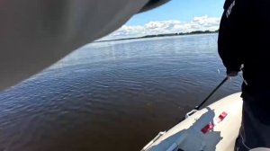 Турнир КОСТРОМСКОЙ ХИЩНИК Кострома 27.06.2026
https://vk.ru/yagoldenfish