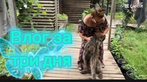 ❤️Будни сельского подворья/ Встреча с Самураем