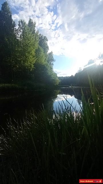 Окушёчки на кренк🎣🐠👍🏻✌🏻😉