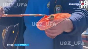 Утро понедельника началось с хороших новостей: в Уфе спасли утенка