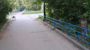 🖋️🚀 ДОБРОЕ УТРО РОДНЫЕ♥️ ЛЮДИ 💃🔥 МОИ БУДНИ🚀🖋️