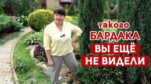 Показываю то, что все скрывают! Что такое сад на самом деле?  Это не «растишки», это тяжелый труд.
