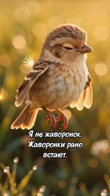 А кто вы?