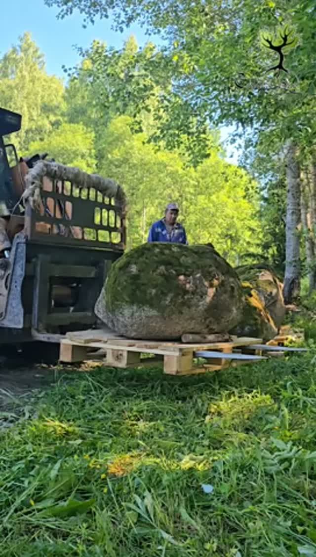 Крупномерные деревьея