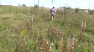Топосъемка и вынос границ земельного участка