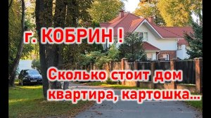 Удивила Беларусь! СКОЛЬКО СТОИТ ДОМ, квартира, картошка на рынке? Брестская область, город Кобрин!