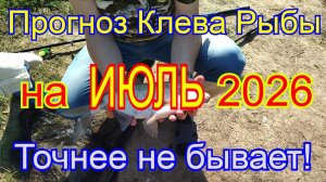 Календарь клева рыбы на июль 2026 Лучший месяц для рыбалки Прогноз клева рыбы Лунный Календарь