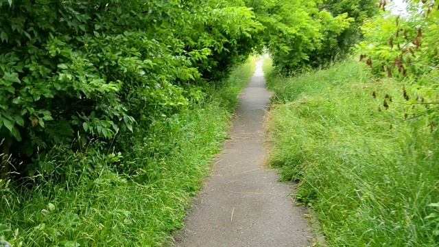Как я чуть не умер. Ни что так дорого нам не обходится как халява.