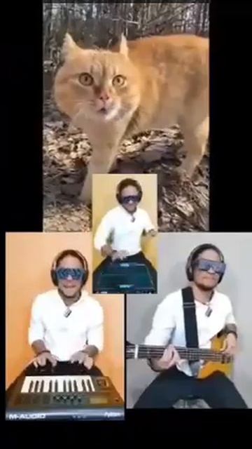Это шедевр