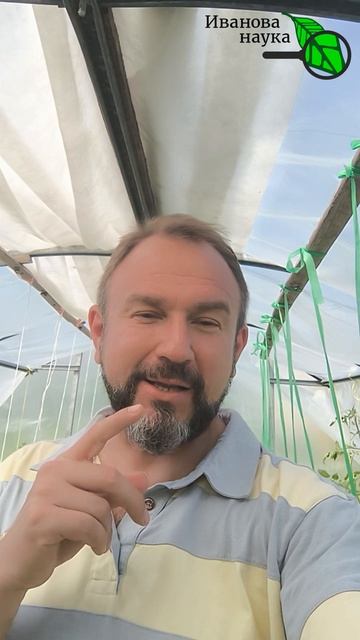 🍅😱 ББ+2Ж=ВГ - главный кошмар огородника! 🥀 Вскрылась правда: почему томаты гниют на кустах!