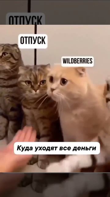 Куда уходят все деньги смотреть онлайн