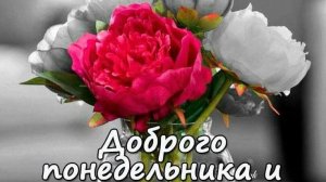 Лёгкого понедельника! Доброе утро. Шикарная музыкальная открытка.