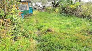 Гродненская область. Небольшой ДОМ с ГАЗОМ и хорошим участком.