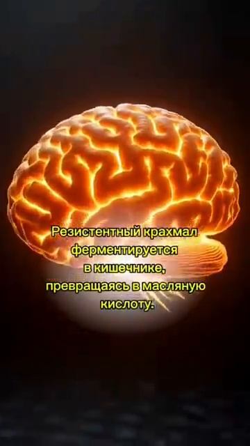 2026-06-29 смотреть онлайн