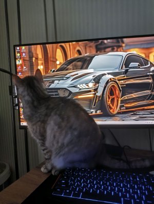 привет !
Я начинающий стример