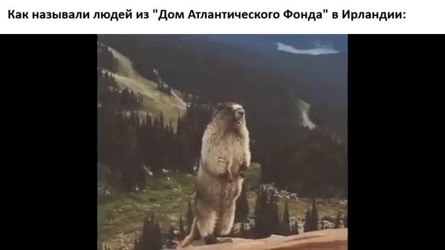 Как называли людей из Дом Атлантического Фонда в Ирландии