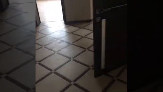 Дом п. Новосадовый Белгородского района смотреть онлайн