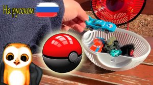 ЛОВИМ МАЛЕНЬКИЕ МАШИНКИ В ПОКЕБОЛ МУЛЬТИКИ ПРО МАШИНКИ