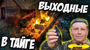 ЖИВУ В ЛЕСУ. ЛЕСНАЯ ИЗБА В ГЛУШИ. ДОРОГИ НЕТ. УХА ИЗ ОКУНЕЙ
