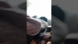 играем в гугу гага в реал лайф продолжения не будет