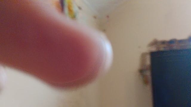 540.mp4 смотреть онлайн
