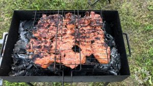 Открыла шашлычный сезон🥩