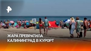«Дождались лета»: Калининград превратился в южный курорт из-за аномальной жары