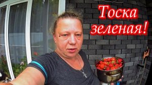Простая жизнь в деревне! Влог. Заготовки. Лера - дизайнер.
