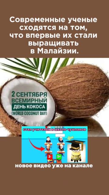 всемирный день кокоса | праздник каждый день #праздник #кокос #шортс #еда #важность #тикток #fyp