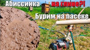 Абиссинка на глине! Бурю абиссинскую скважину себе на пасеке. Эксперимент с обсыпкой дал результат.