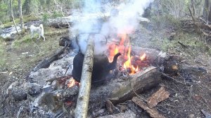 Жизнь и приключения таёжного бродяги # 4.1 Эпизоды. Май 2026