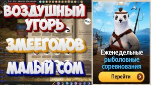 БДО. Воздушный угорь. Змееголов. Малый сом. Рыболовные соревнования. 29.06-04.07.2026.