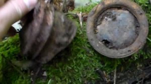 НЕМЕЦКИЕ ПОМОЙКИ и БЛИНДАЖИ Раскопки по великой отечественной войне