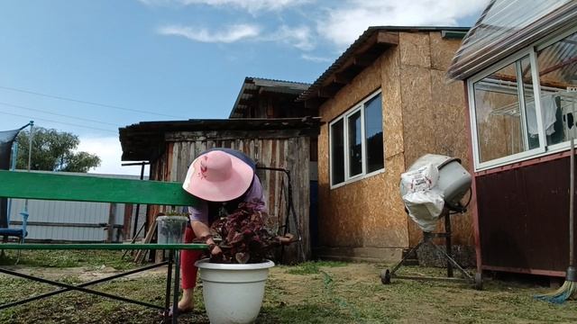 ДЕЛА ОГОРОДНЫЕ, РАБОТАЮ В ТЕПЛИЦЕ. смотреть онлайн