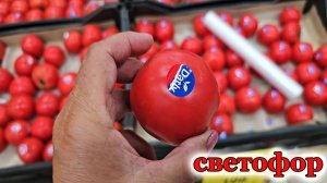 Магазин Светофор.Отличные новинки.Стоит посмотреть